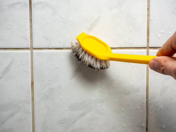 Best Certified Mold Removal  in Ingram, PA