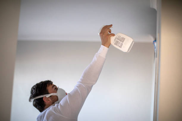 Ingram, PA Mold Removal Company