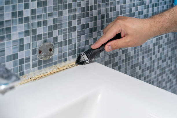 Best Home Mold Removal  in Ingram, PA